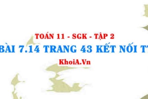 Bài 7.14 trang 43 Toán 11 Kết nối tri thức Tập 2